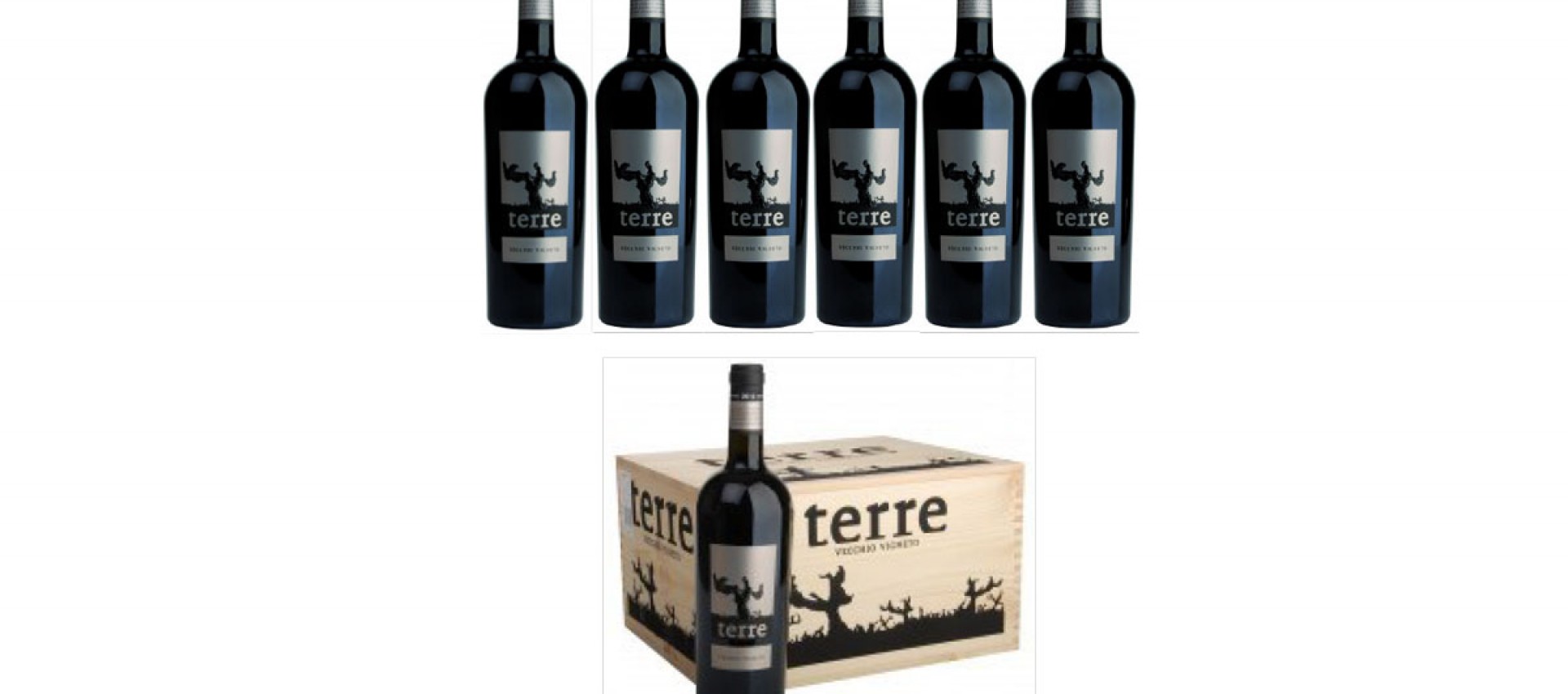 Terre – Vecchio Vigneto - Primitivo von alten Rebstöcken